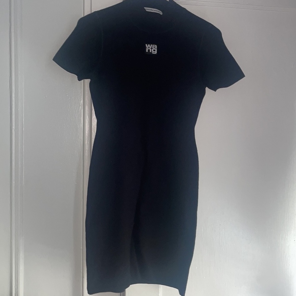 Alexander wang dress